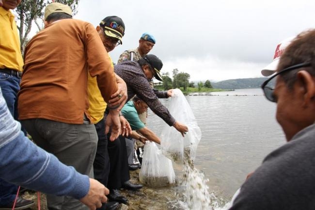 Bupati Lepas Bibit Ikan Nilem di Danau Diatas