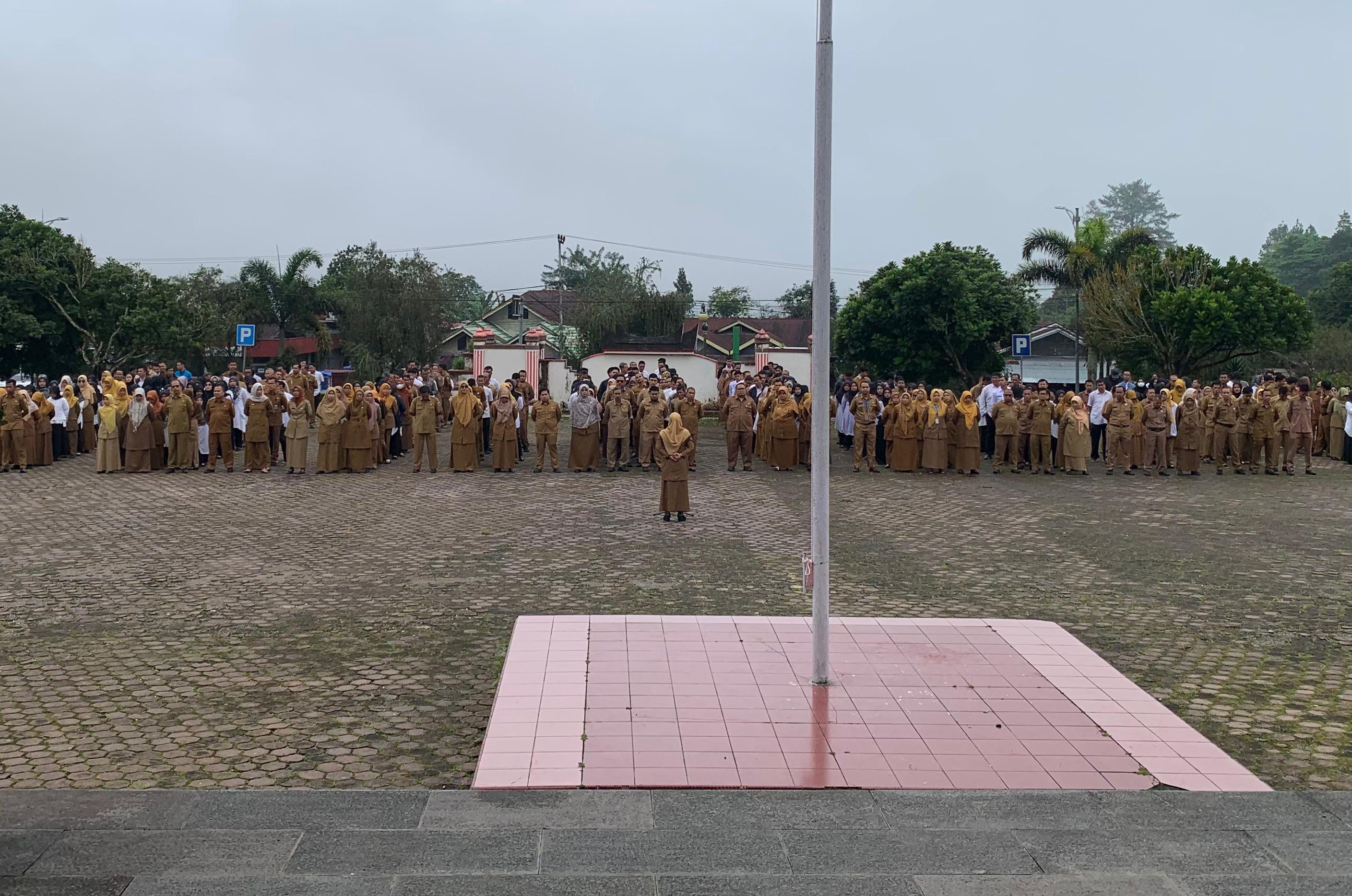 WhatsApp_Image_2024-02-19_at_10_40_21