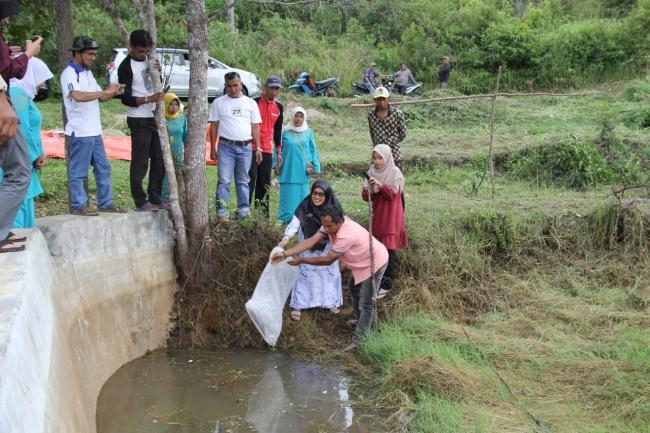 Pelepasan Bantuan Bibit Ikan di Jorong Balerong Nagari Kacang