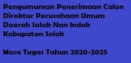 Pengumuman Penerimaan Calon Direktur Perusahaan Umum Daerah Solok Nan Indah