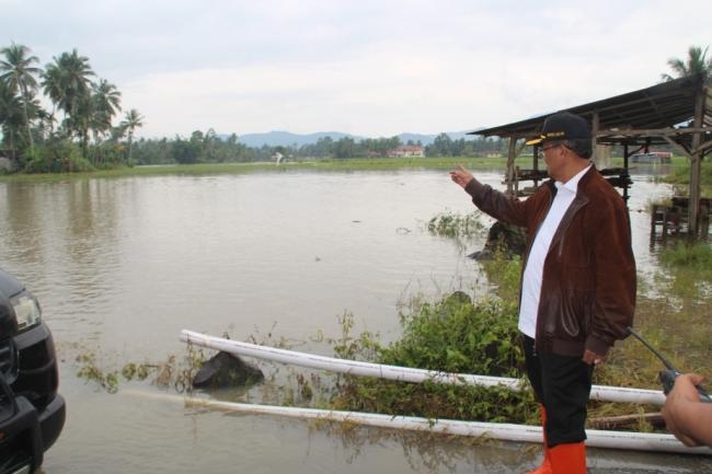 Gusmal dan Nasrul Abit Tinjau Nagari Terdampak Banjir di Muaro Paneh dan Salayo