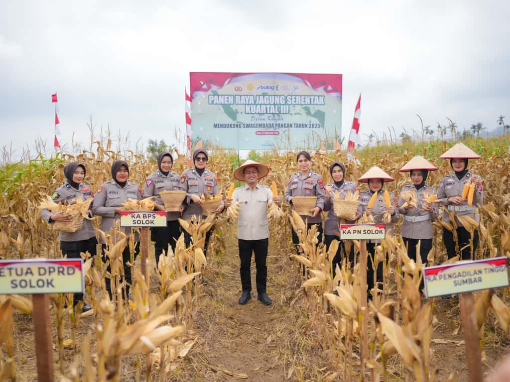 Bupati Solok Hadiri Panen Raya Jagung Serentak Kuartal III di Sukarami